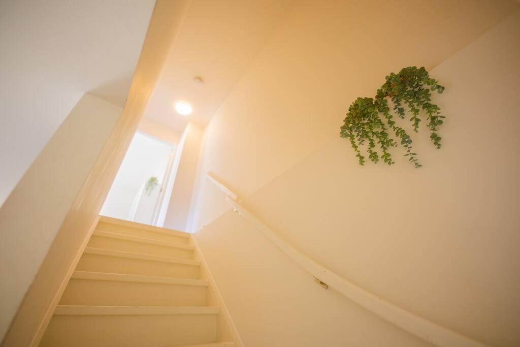 Lovely 3 Bedroom Apartment In Eindhoven 65M2 - Sd23N 외부 사진